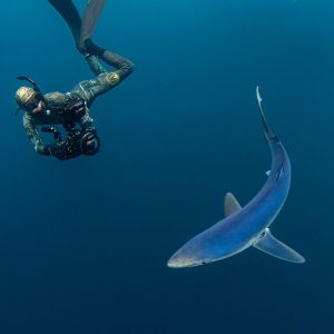 SharkMan Dan Blue Sharks